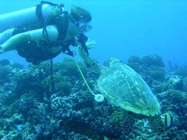 60- La tortue vient voir Pascale 